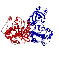 Image of CATH 2i0e