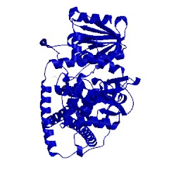 Image of CATH 2i1j