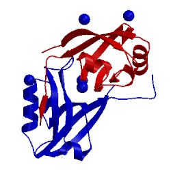 Image of CATH 2i1n