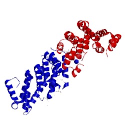 Image of CATH 2i2o