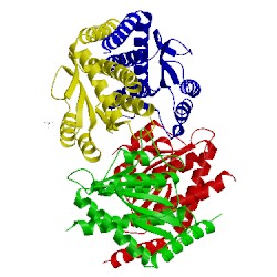 Image of CATH 2i2w