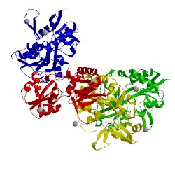 Image of CATH 2i3v