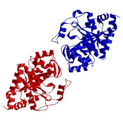 Image of CATH 2i5g