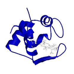 Image of CATH 2i8f