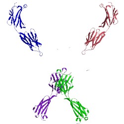 Image of CATH 2i9l