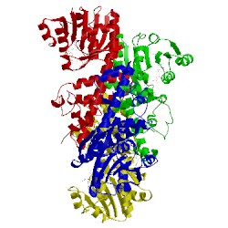 Image of CATH 2i9p
