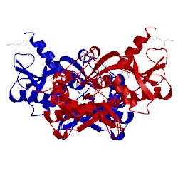 Image of CATH 2ia4