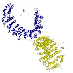Image of CATH 2iae