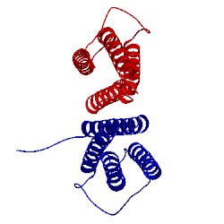 Image of CATH 2ib0