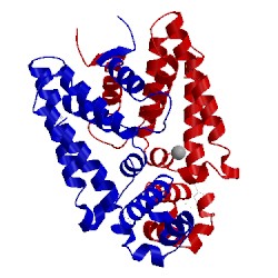 Image of CATH 2ibd