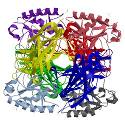 Image of CATH 2ibg