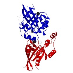 Image of CATH 2ic5