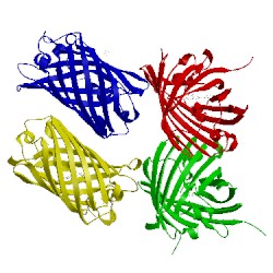 Image of CATH 2icr