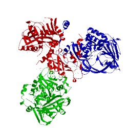 Image of CATH 2idb