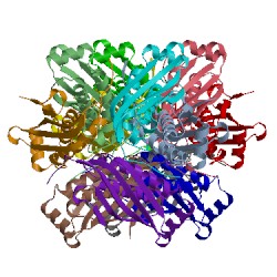 Image of CATH 2ide