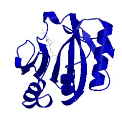 Image of CATH 2idv