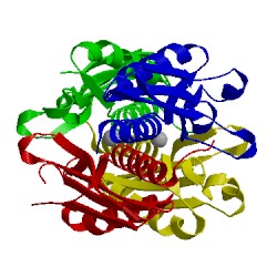 Image of CATH 2iec