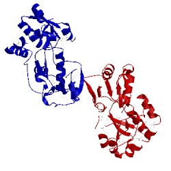 Image of CATH 2iee
