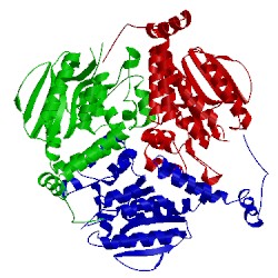 Image of CATH 2iex