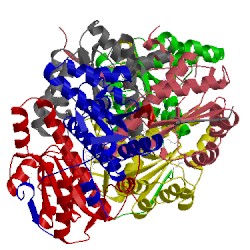 Image of CATH 2ifa