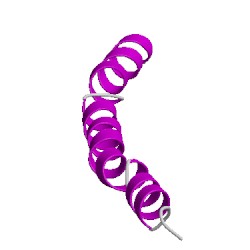 Image of CATH 2ifoA