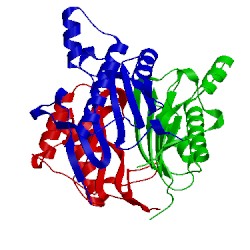 Image of CATH 2ig8
