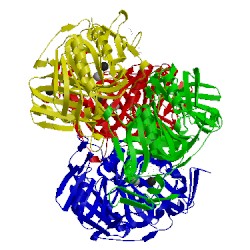 Image of CATH 2ig9