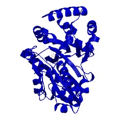 Image of CATH 2ihk