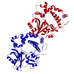 Image of CATH 2ihm