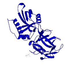 Image of CATH 2iho