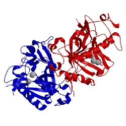 Image of CATH 2ihp