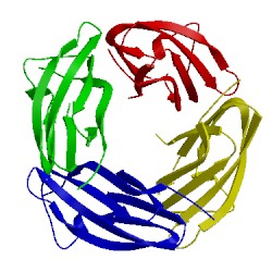 Image of CATH 2ii9