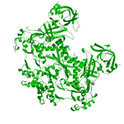 Image of CATH 2ijd