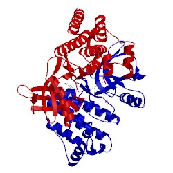 Image of CATH 2ijm