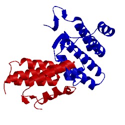 Image of CATH 2ijq