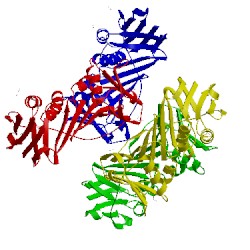 Image of CATH 2ijx