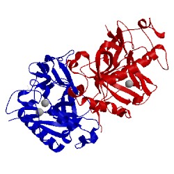 Image of CATH 2ik1