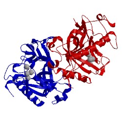 Image of CATH 2ik2