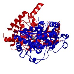 Image of CATH 2ikf