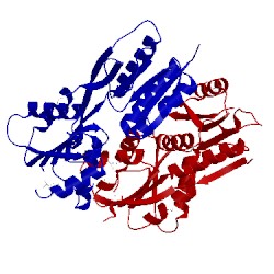 Image of CATH 2iks