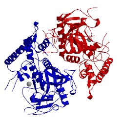 Image of CATH 2imb