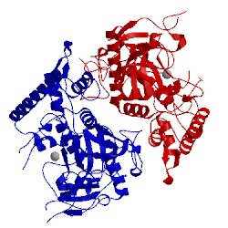 Image of CATH 2imc