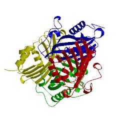 Image of CATH 2imj