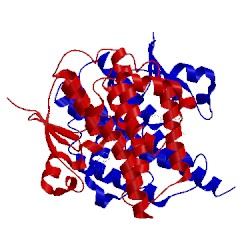 Image of CATH 2imk