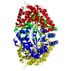 Image of CATH 2inf