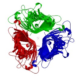 Image of CATH 2inu