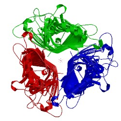 Image of CATH 2inv