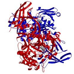 Image of CATH 2io7