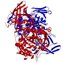 Image of CATH 2io8