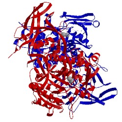 Image of CATH 2ioa